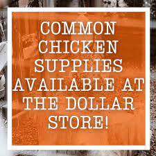 Maybe you would like to learn more about one of these? Common Chicken Supplies Available At The Dollar Store