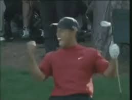 Browse and share the top tiger woods golfer gifs from 2020 on gfycat. Tiger Woods Sport Gif By Sportseditor Find Share On Giphy