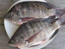 Maybe you would like to learn more about one of these? 5 Bahaya Konsumsi Ikan Mujair Bagi Kesehatan Anda