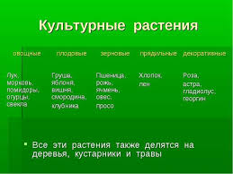 гдз по географии рабочая тетрадь 10 класс сиротин онлайн Otvety Na Voprosy 8 Paragrafa Po Obshestvoznaniyu 8 Klass Bogolyubov Free Tarot Tarot Blog