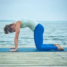 Maybe you would like to learn more about one of these? 18 Morning Yoga Stretches And Poses To Start Your Day Yoga Basics