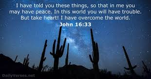 In this world there will always be problems, but the bible gives us ways of dealing with them, and if we try to do things god's way, he will help. Word Of Truth Auf Twitter I Have Told You These Things So That In Me You May Have Peace In This World You Will Have Trouble But Take Heart I Have Overcome