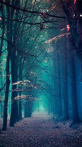 Download all wallpapers for free. Winter Phone Wallpapers Top Free Winter Phone Backgrounds Wallpaperaccess