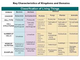 Classification Of Living Things Chart Science Biology