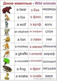 английский алфавит карточки распечатать для 2 класса с транскрипцией Dikie Zhivotnye Russian Language Learning Vocabulary Pictures Learn Russian