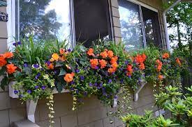 See more ideas about window boxes, window box, container gardening. The Votes Are In The Winners Of The Window Box Contest Are Best Window Boxes In America