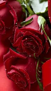 Https Encrypted Tbn0 Gstatic Com Images Q Tbn And9gcqnfhbfzdx5oswlszbcmtrtbikyk8wmpt5gnq Usqp Cau