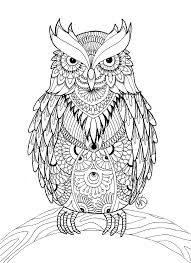 While most of them prefer to be active at night, and typically nest in places that humans don't visit, some owls tend to appear during the day and in less remote places. Owl Coloring Pages For Adults Free Detailed Owl Coloring Pages