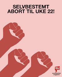 Kvinner som må søke om en senabort etter uke 12, føler det ofte nedverdigende å måtte søke om en abort de i utgangspunktet ikke hadde ønsket seg. Sosialistisk Ungdom I Dag Ma Du Soke En Nemnd Dersom Du Onsker Abort Etter Uke 12 Dette Forer Til En Unodvendig Psykisk Belastning Pa Den Gravide Su Onsker A Avskaffe Nemndene