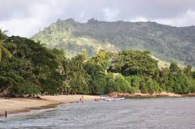 We did not find results for: Pantai Karanggongso Keindahan Pantai Trenggalek