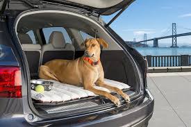 A waterproof dog bed can keep your pup from slumbering in a puddle of piddle, but keep in mind that most aren't made for an extended soaking. Dog Travel Bed For Suv Truck Car Portable Mat Roll Up Pad For Outdoor Use Use In Large Pet Crate 42x28 Dog Travel Crate Dog Travel Bed Large Dog Crate