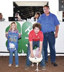 We did not find results for: Hn39kellom5km