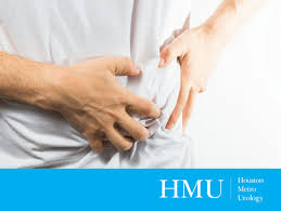 The Causes Of Kidney Stones And How You Can Prevent Them Kidney stones are common — if you haven't had a kidney stone, you likely know someone who has. the causes of kidney stones and how you