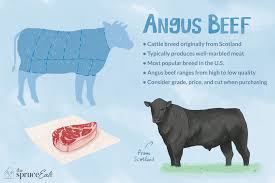 What Is Angus Beef