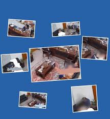 عماد الشاوي يسلب كرامة التعليم ويُهين المؤسسة الجامعية.. ماذا تعرف عن عميد  كلية علوم الحاسوب؟ وكيف ستتم محاسبته؟ | إنفوبلاس