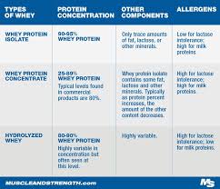Whey Protein Expert Guide Learn Everything About Whey