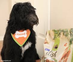 If you are looking for a breeder who can educate you further about the breed and help you find your new family member, you are in the right place. Highlights Of Our Daily Routine With Our Puppies