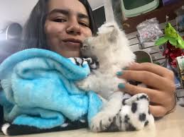 Reel by Lisa Millán (@lisaveterinaria) · December 28, 2024