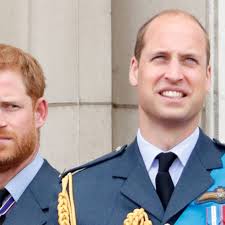 Why senior royals treated Prince Harry as 'less than' Prince William