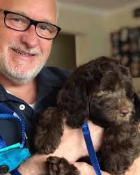 A. L. Jacobsen Funeral Home, Inc