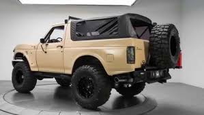 Image result for Dark Chestnut 1991 Bronco