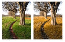 The colour blind awareness organisation has been founded to raise awareness of colour blindness (colour vision deficiency) and aims to be the first point of reference for in the uk for people seeking. How To Cure Color Blindness Naturally Iristech