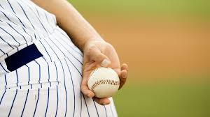 Hey sport fanatics, why don't you take a break from basketball and football talk, and cover the bases of baseball this time? Wacky Baseball Trivia Quiz Zoo