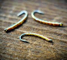 Image result for Copper Chestnut 2012 Cygnet