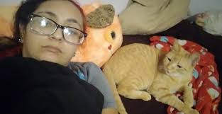 Lost cat in Elyria Township area