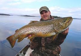 Epingle Sur Trout Flies