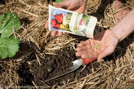 Maybe you would like to learn more about one of these? Creative Vegetable Gardener How To Easily And Quickly Prep Your Garden Beds For Planting Creative Vegetable Gardener