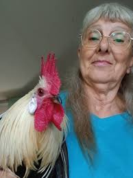 Introduction and photo sharing in Berkeley and Wellesley Island