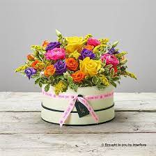 Citrus Squeeze Hatbox Portal Deliveries