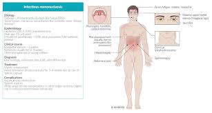 Image result for Monospot