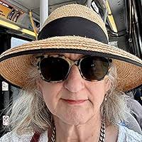 Up and Down by Terry Fallis