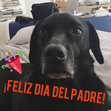 ¡feliz día del padre! mi héroe, mi refugio, mi mejor amigo y compañero… ¡felicidades por tu día papá! gracias papá por no decirme cómo vivir. Uzivatel La Treintanera 1 Na Twitteru Feliz Dia Papa Perruno