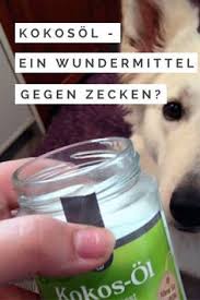 Kokosol Fur Den Hund Ein Tolles Wundermittel Besonders Gegen Zecken Midoggy Community Zecken Hunde Ernahrung Hunde