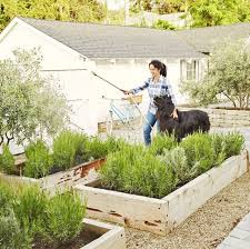 Backyards give your dog an opportunity to get outside and unwind. 85 Best Backyard Ideas Easy Diy Backyard Design Tips