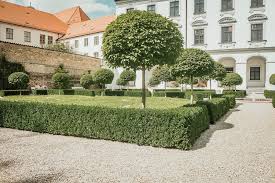 Am rathausplatz 2, 86150 augsburg. Kunst In Der Mittagspause I Durchatmen Im Garten Des Schaezlerpalais Geheimtipp Augsburg