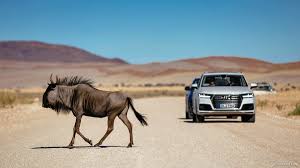 Find the best audi quattro q7 wallpapers on wallpapertag. 2016 Audi Q7 Tofana White In Namibia Front Caricos