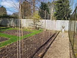 At hrdb.common.stakes.stakesdetail.loadstructureddata(stakes stakes) in c. Growing Sweet Peas As Cut Flowers Give Them A Suitable Support The Tea Break Gardener