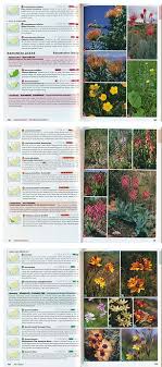 Overview of holidays and many observances in south africa during the year 2021. Field Guide To Wild Flowers Of South Africa By John Manning Vorgestellt Im Namibiana Buchdepot