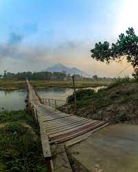 Pabrik teh di ngoro industri : 7 Tempat Menarik Yang Wajib Dikunjungi Di Ngoro Mojokerto