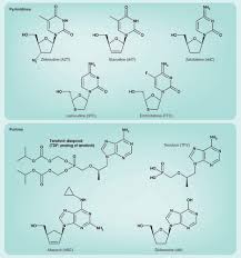 Image result for Nucleoside Reverse Transcriptase Inhibitor