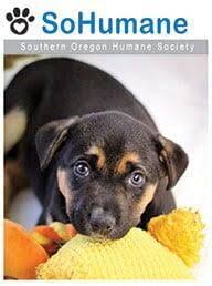 Why go to a dog breeder, cat breeder or pet store to buy a dog or buy a cat when you can adopt? Home Sohumane