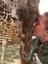 April the giraffe LATEST pictures: The most ADORABLE photos of April