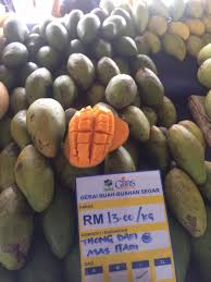 Lukisan buah buahan tempatan malaysia cikimm com. Cara Kenal Jenis Jenis Buah Mangga Yang Popular Dan Laris Di Malaysia Some Bullet For Your Head