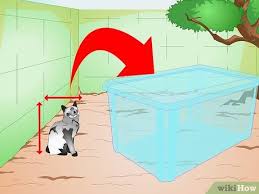 Height 15 inches i couldn't find a box the right size so i made one from other boxes, cutting it to the correct size and adding a strip at the top to make it higher. How To Build A Cat House 15 Steps With Pictures Wikihow