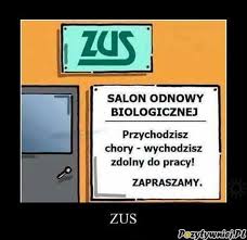 Wiocha.pl frankowicze tok umysłowy debil w tirze na s8 dramat i skandal. Zus Salon Odnowy Biologicznej Funny Texts Humor Funny
