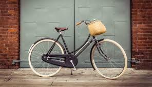 Brothers Rich Vintage Raleigh Preservation Beautiful Bicycle Beautiful Bike Bicycle